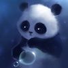 lilshai05_